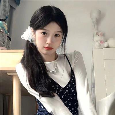 西部战线